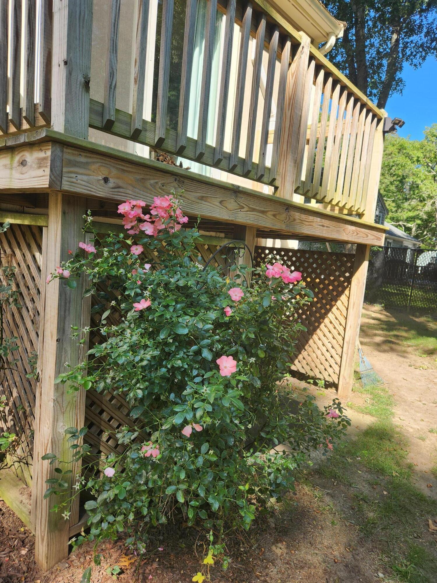 10 Howard Avenue Bourne MA 02553