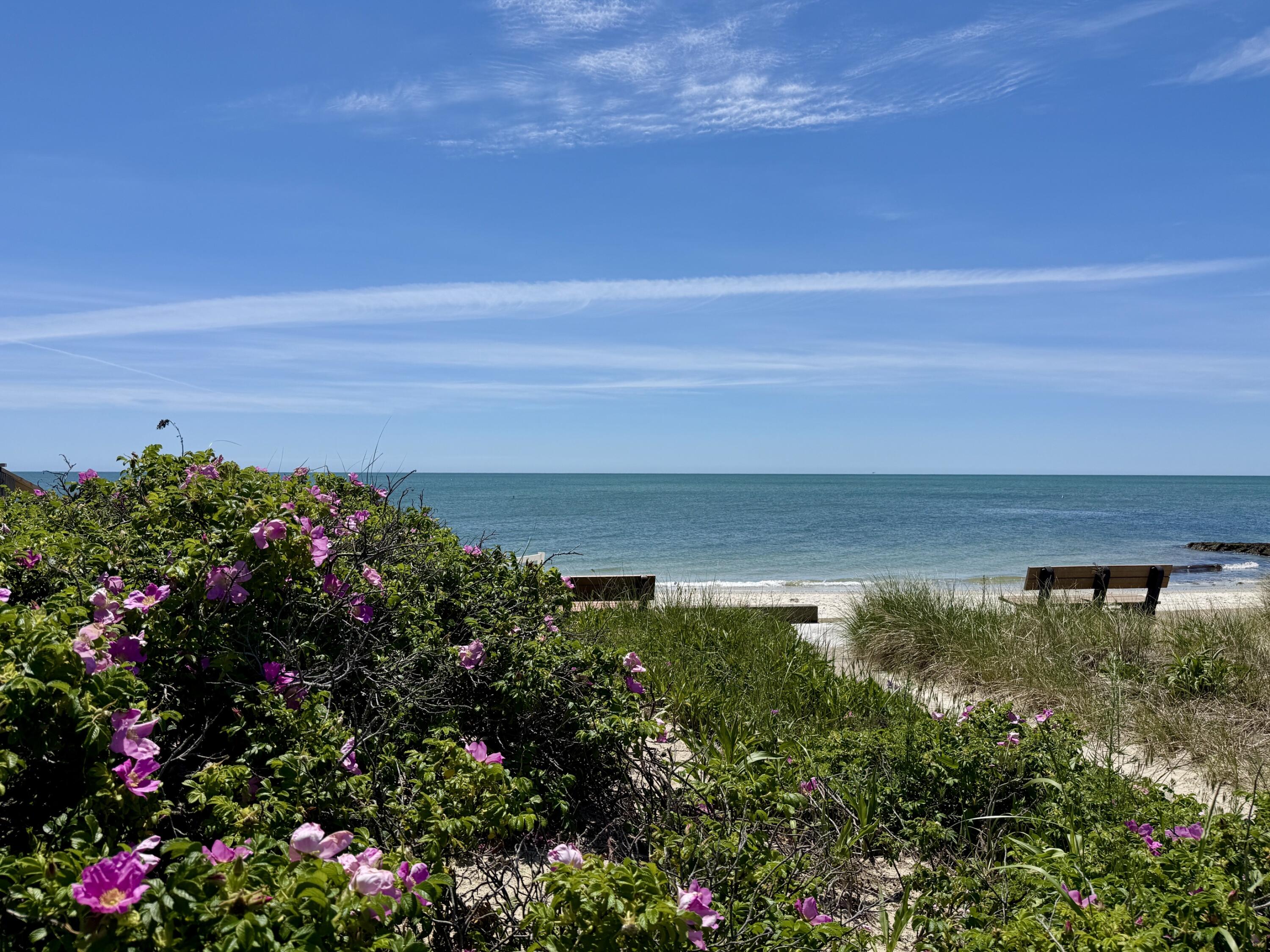 77 Pine Grove Road Yarmouth MA 02664