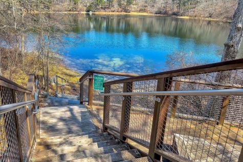 5 Maple Lane Brewster MA 02631