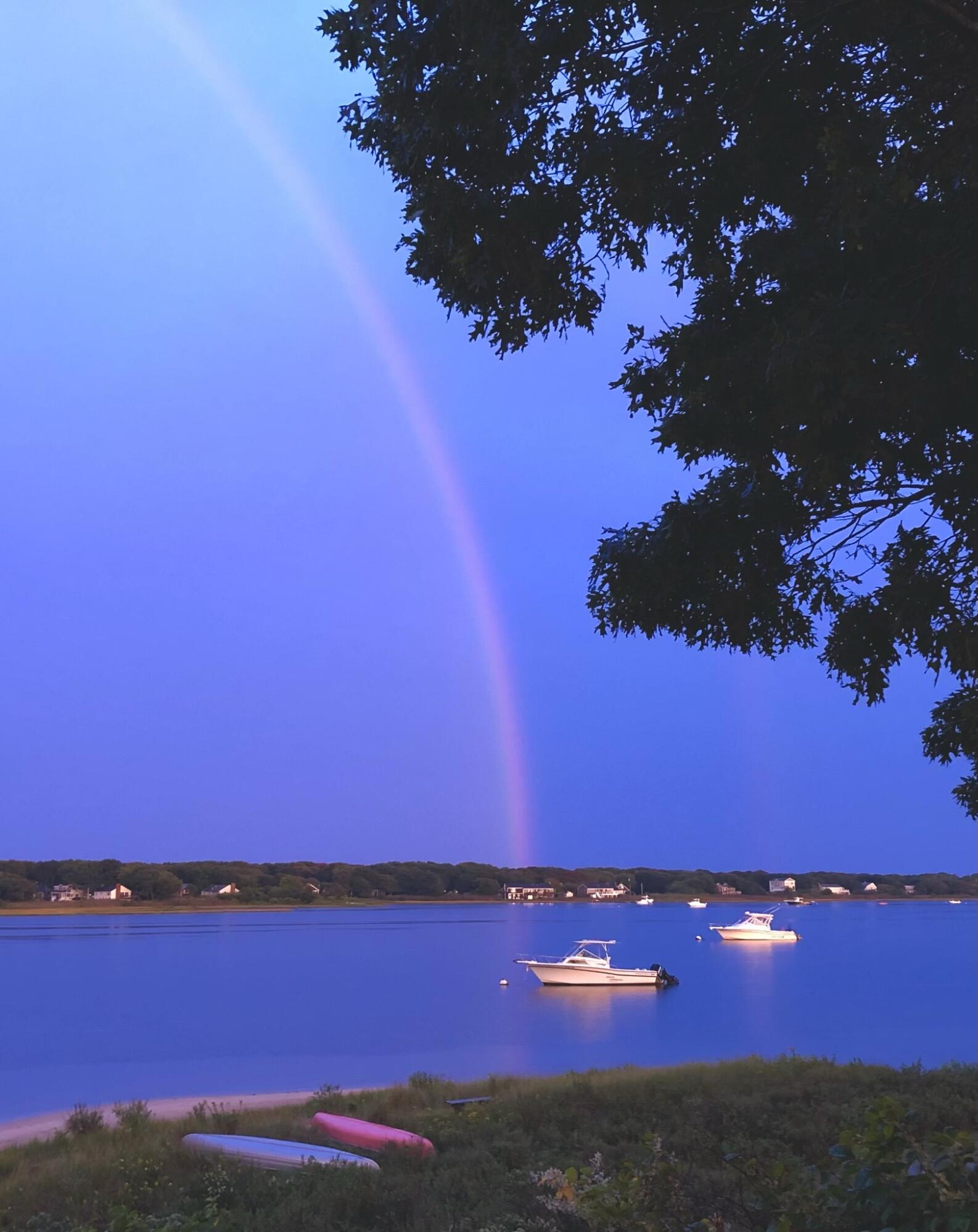 59 Cedar Street Falmouth MA 02536