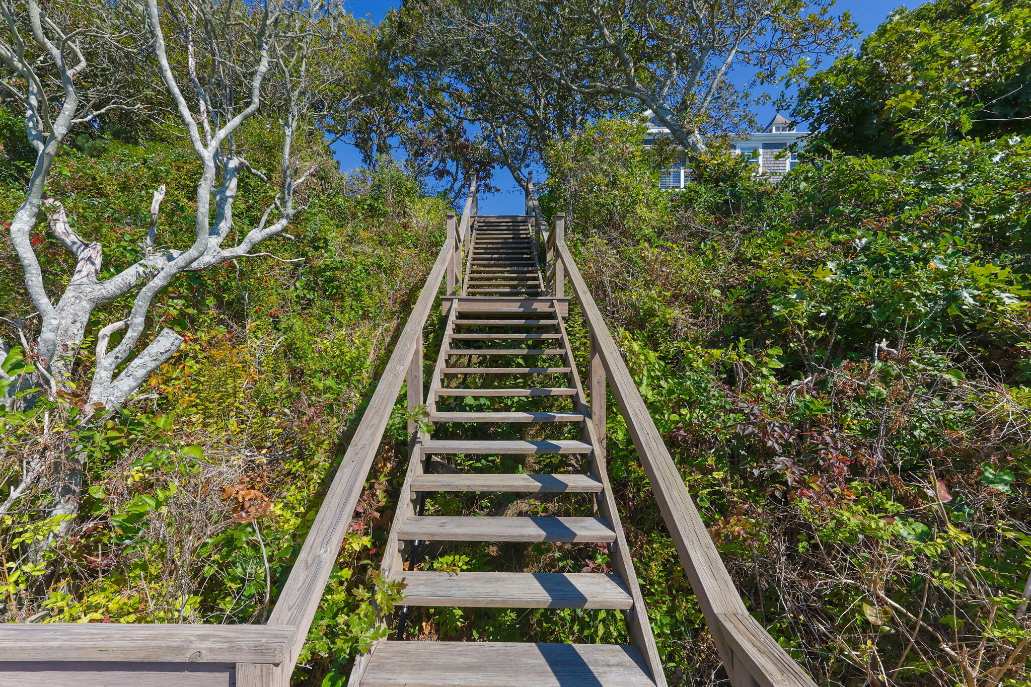 246 Stage Island Road Chatham MA 02633