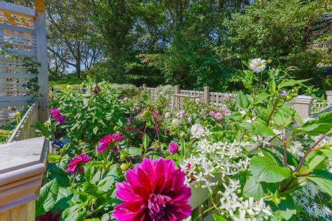 246 Stage Island Road Chatham MA 02633