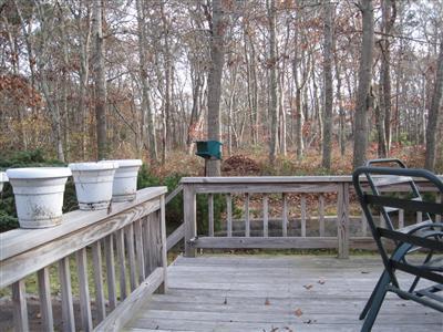 7 Birch Drive Harwich MA 02645