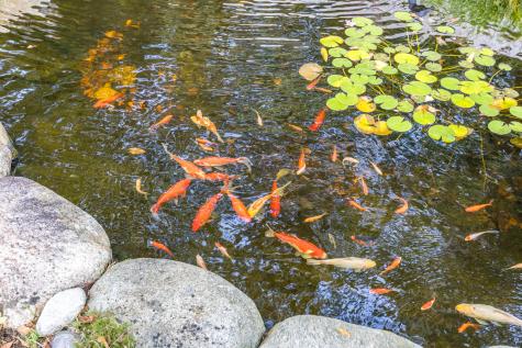 158 Lakeside Drive Barnstable MA 02648