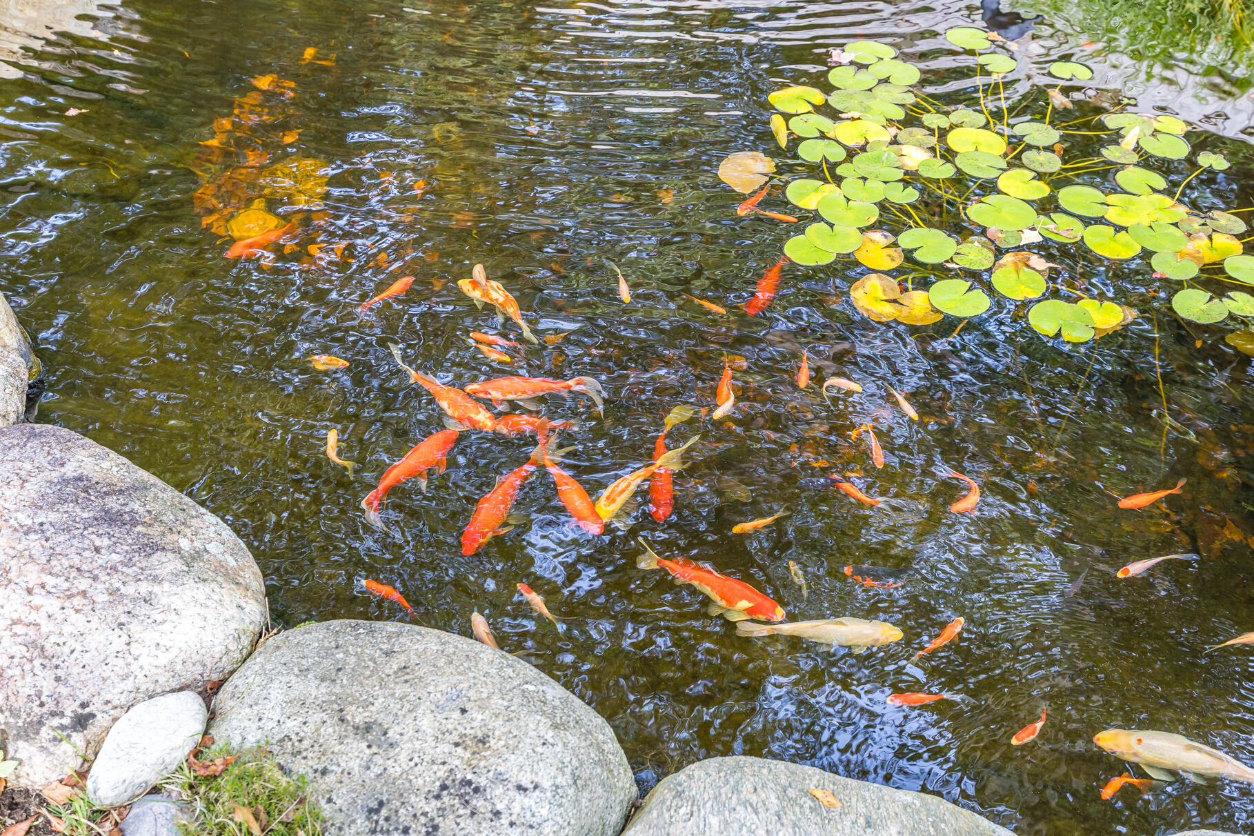 158 Lakeside Drive Barnstable MA 02648