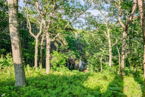272 Falmouth Woods Road Falmouth MA 02536