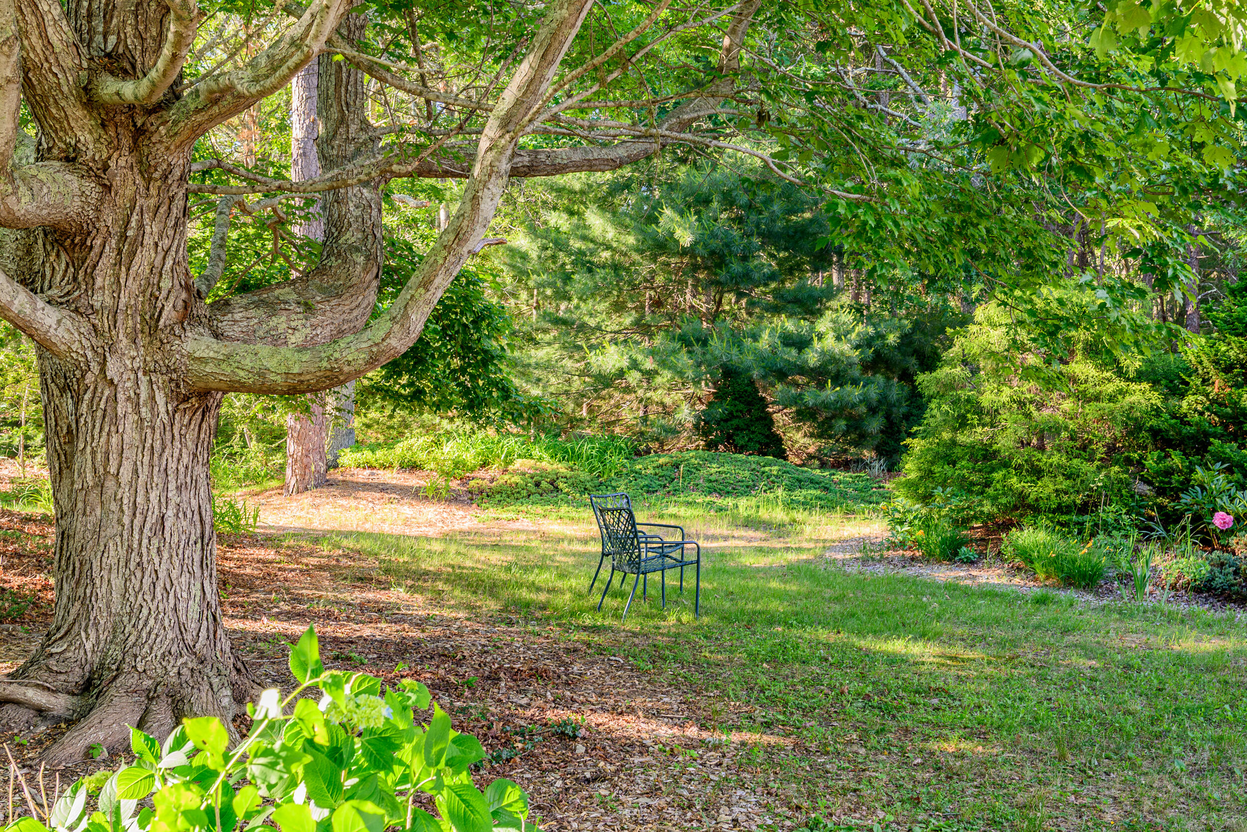 272 Falmouth Woods Road Falmouth MA 02536