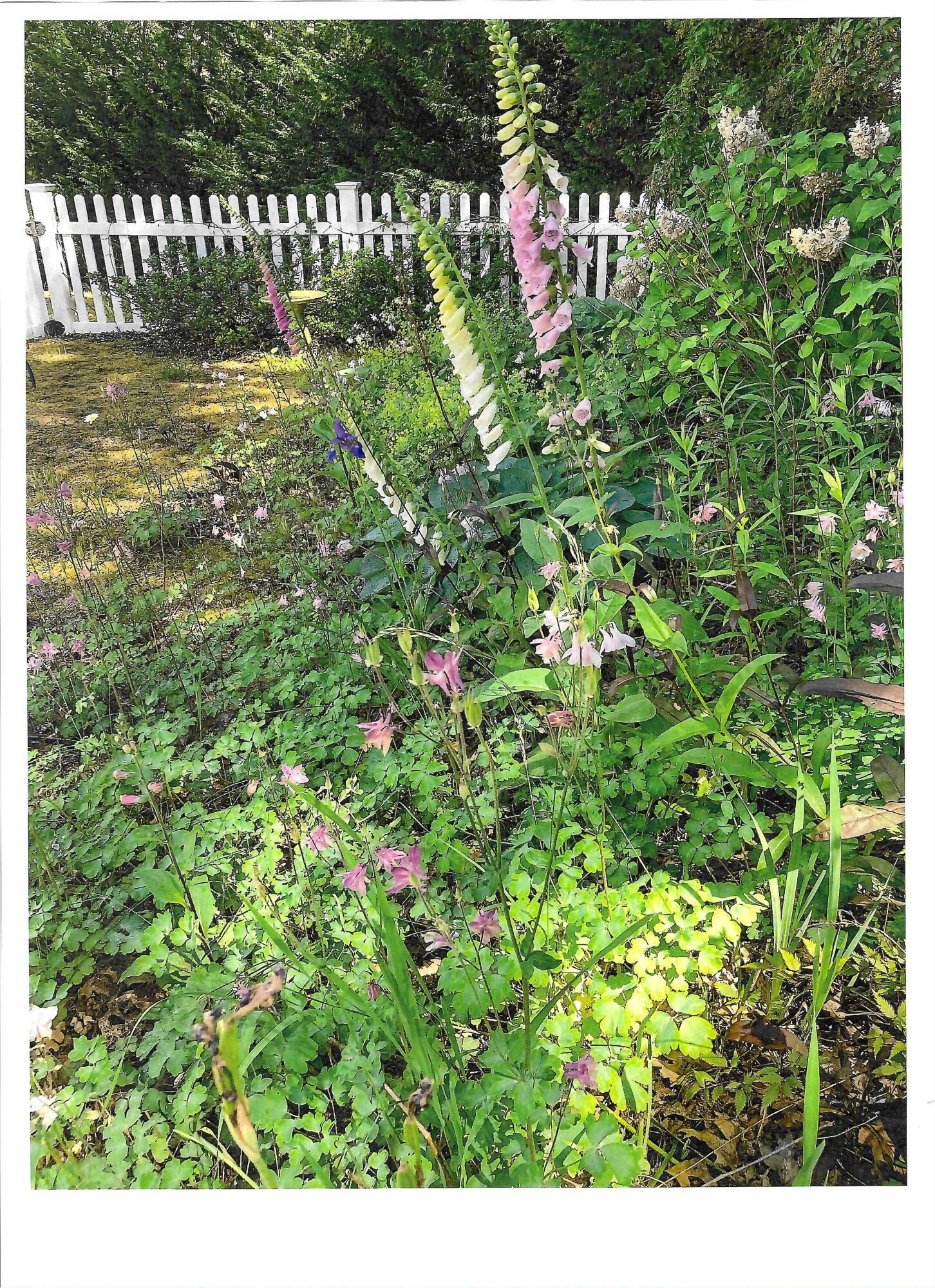 272 Falmouth Woods Road Falmouth MA 02536