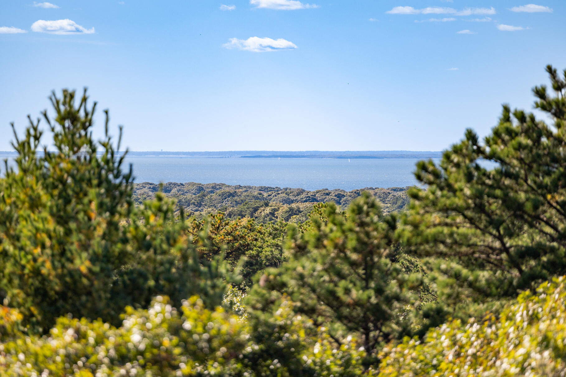 86 Highwood Lane Falmouth MA 02536