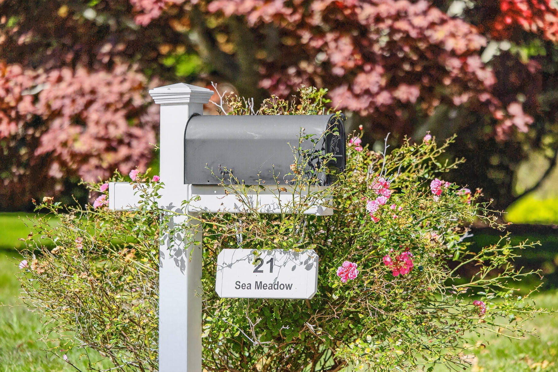 21 Sea Meadow Lane Brewster MA 02631