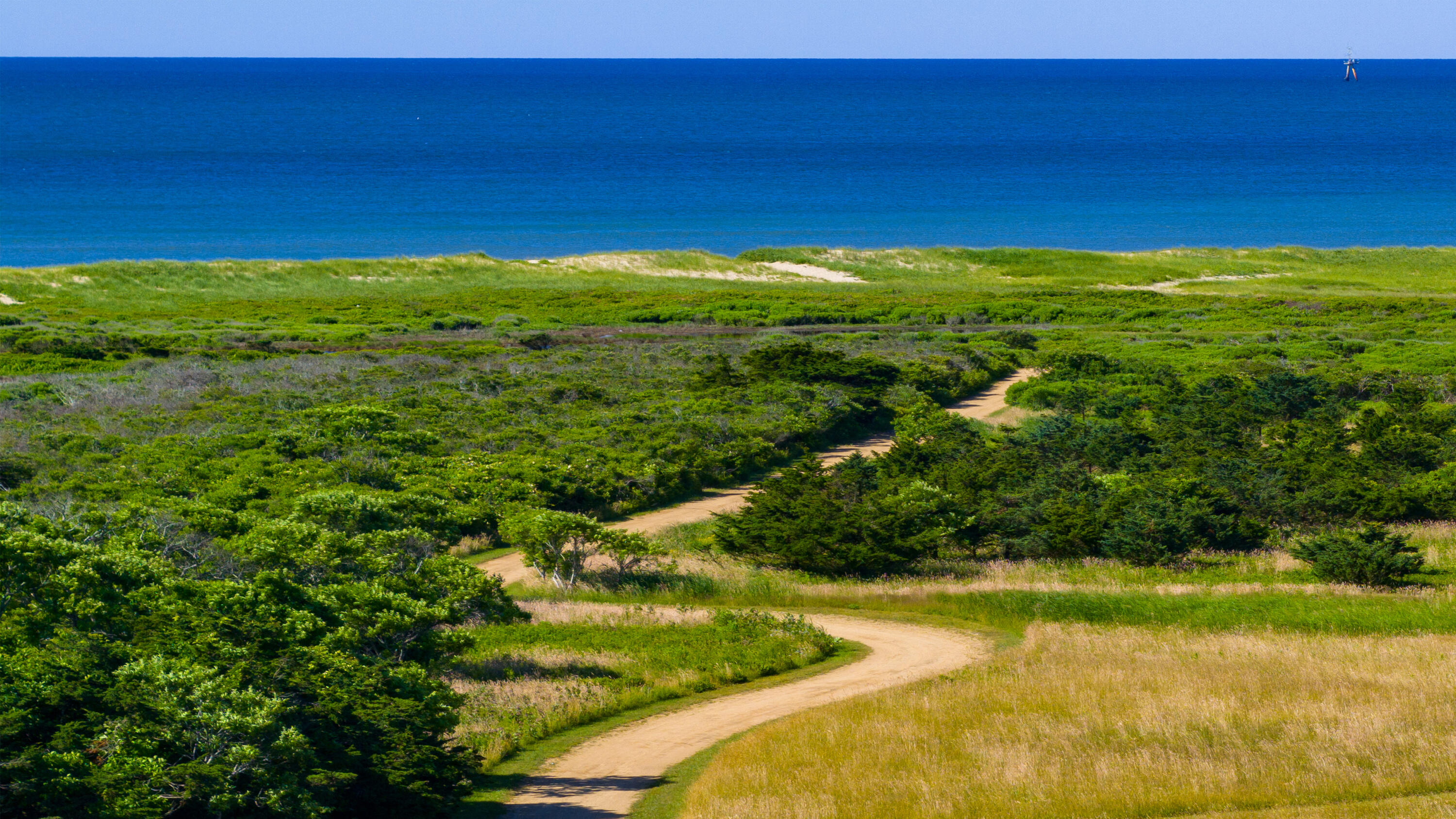 61 Butlers Cove Road Edgartown MA 02539