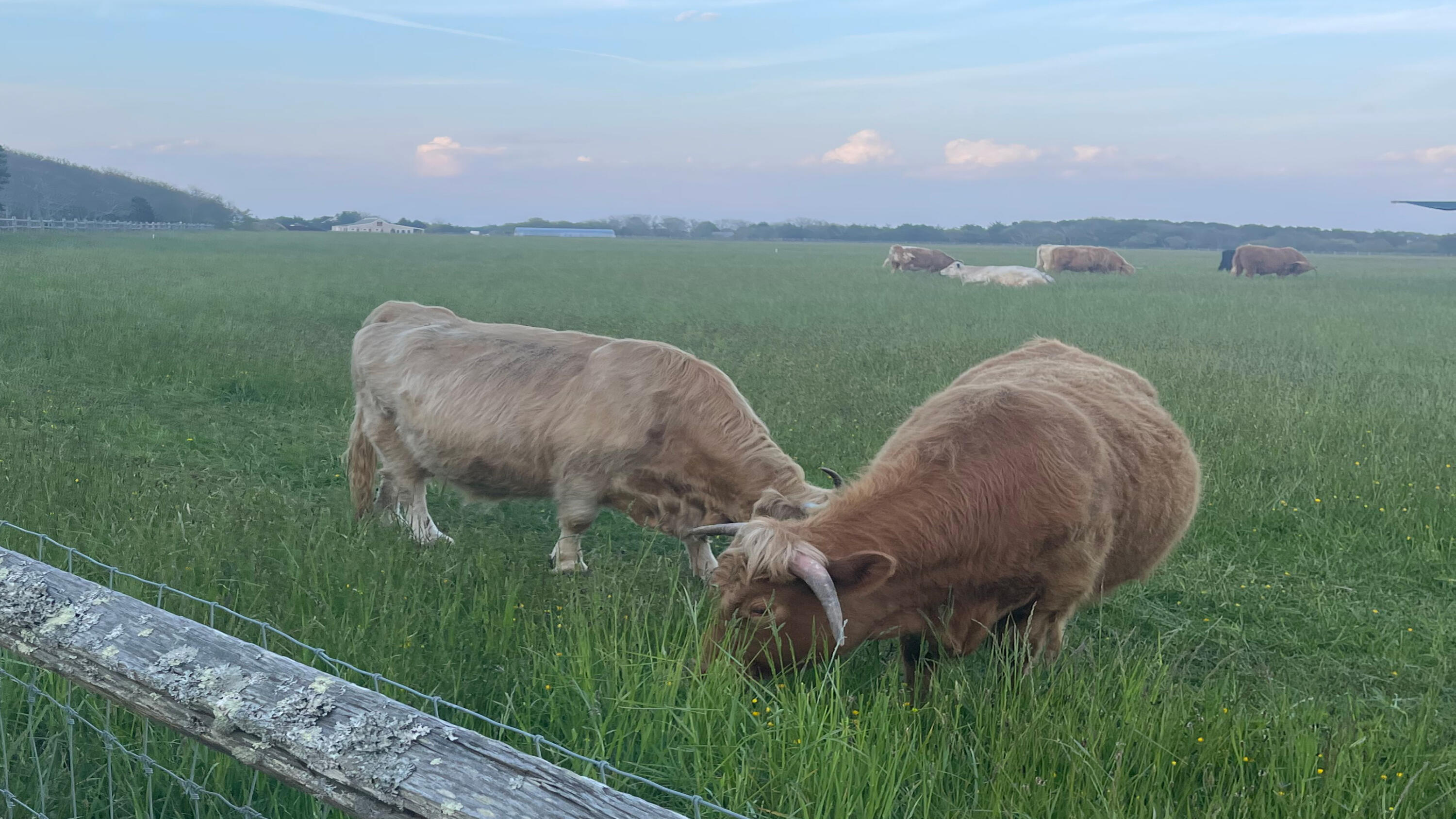 61 Butlers Cove Road Edgartown MA 02539