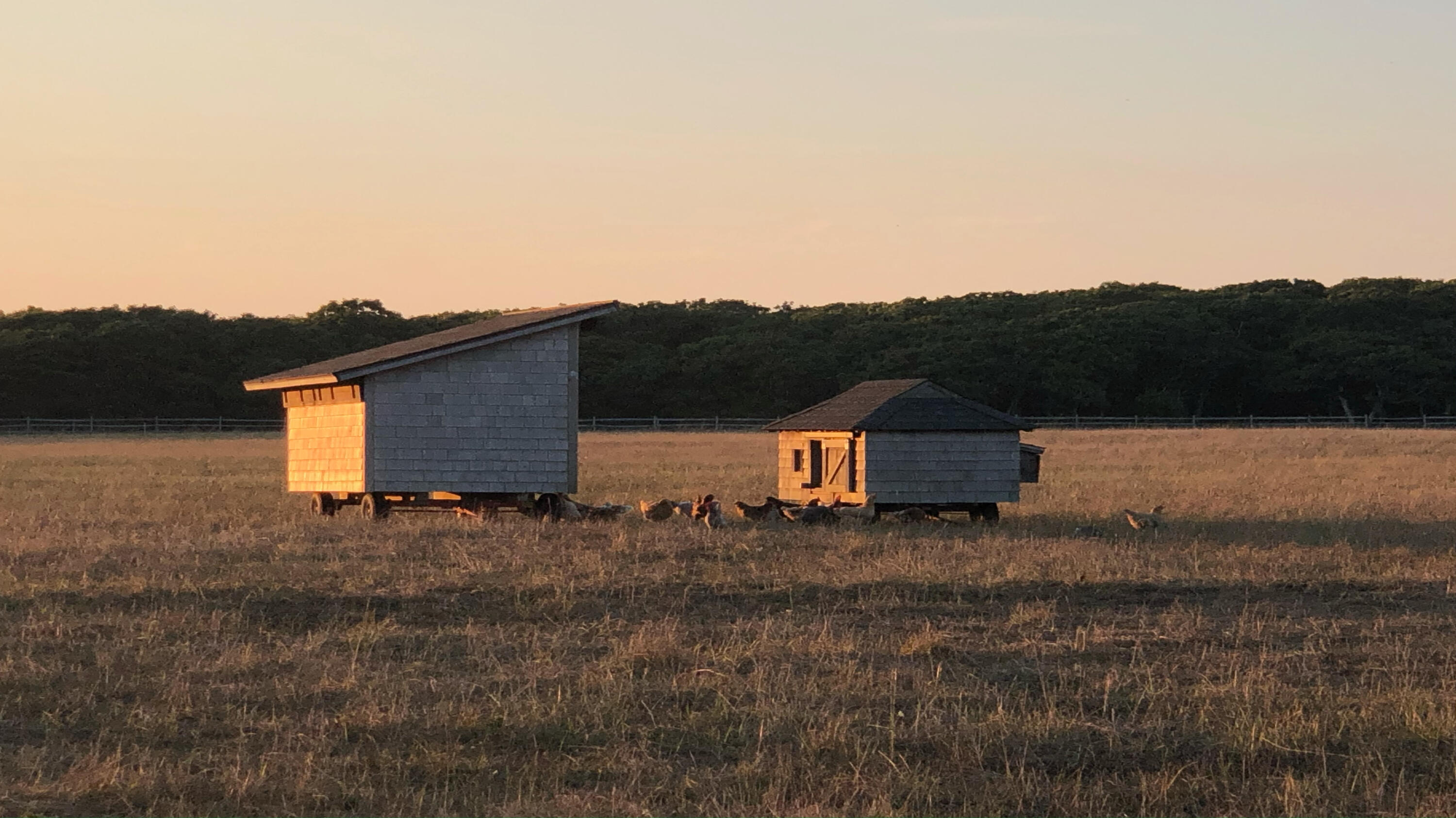 61 Butlers Cove Road Edgartown MA 02539