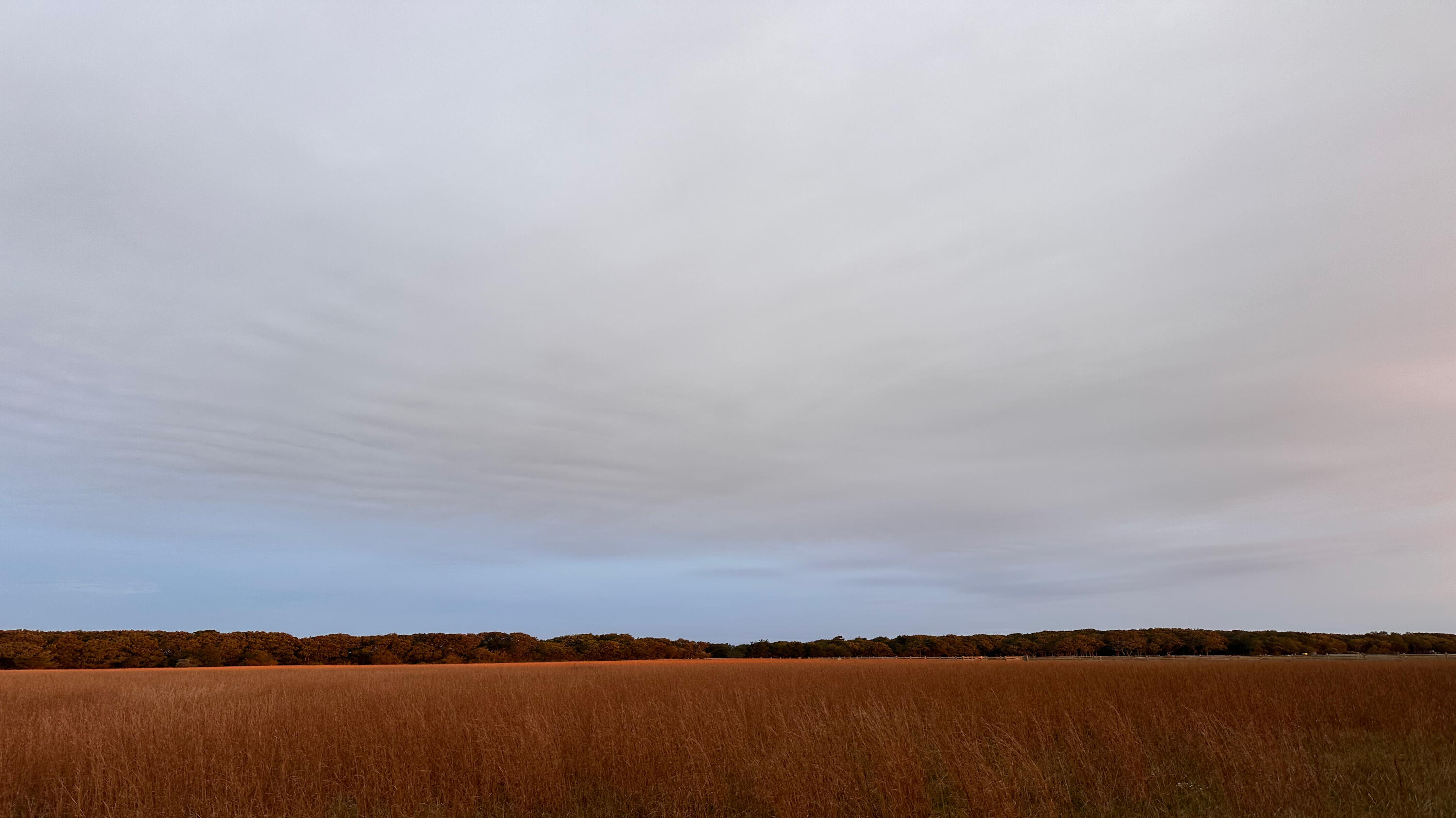 61 Butlers Cove Road Edgartown MA 02539