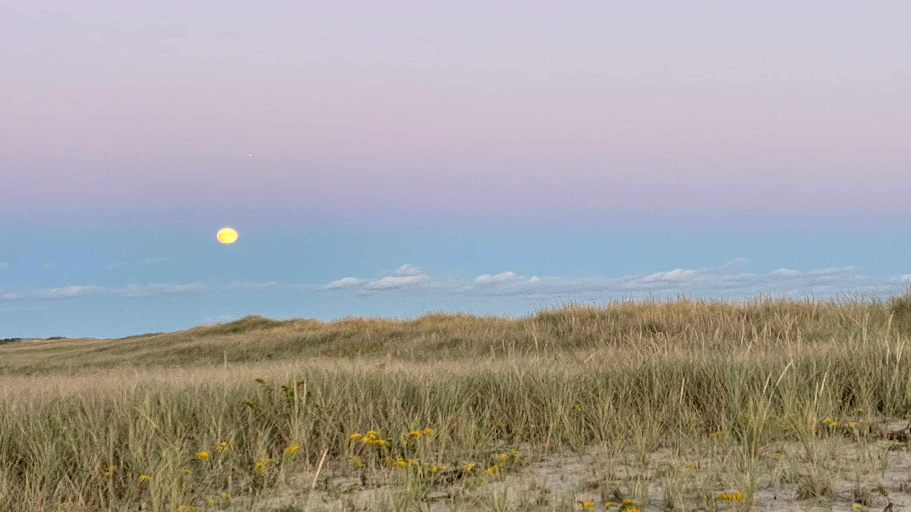 61 Butlers Cove Road Edgartown MA 02539