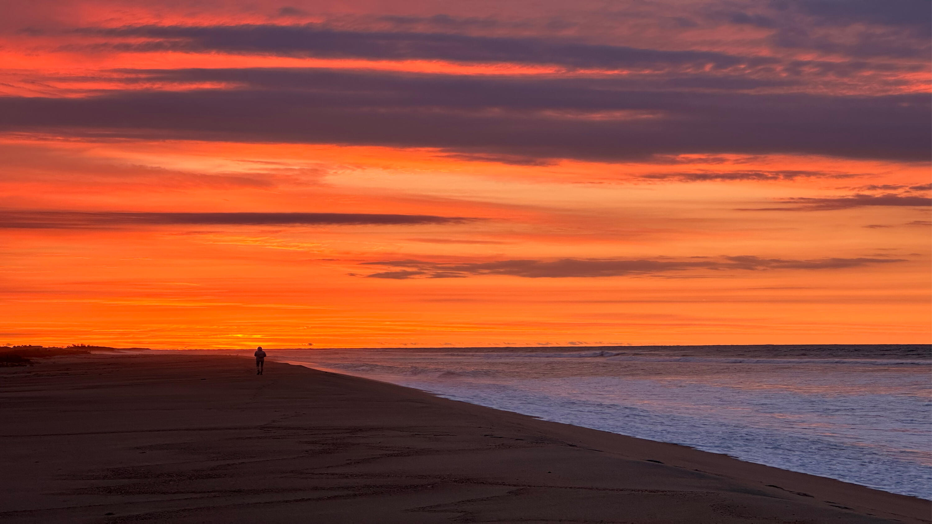 61 Butlers Cove Road Edgartown MA 02539