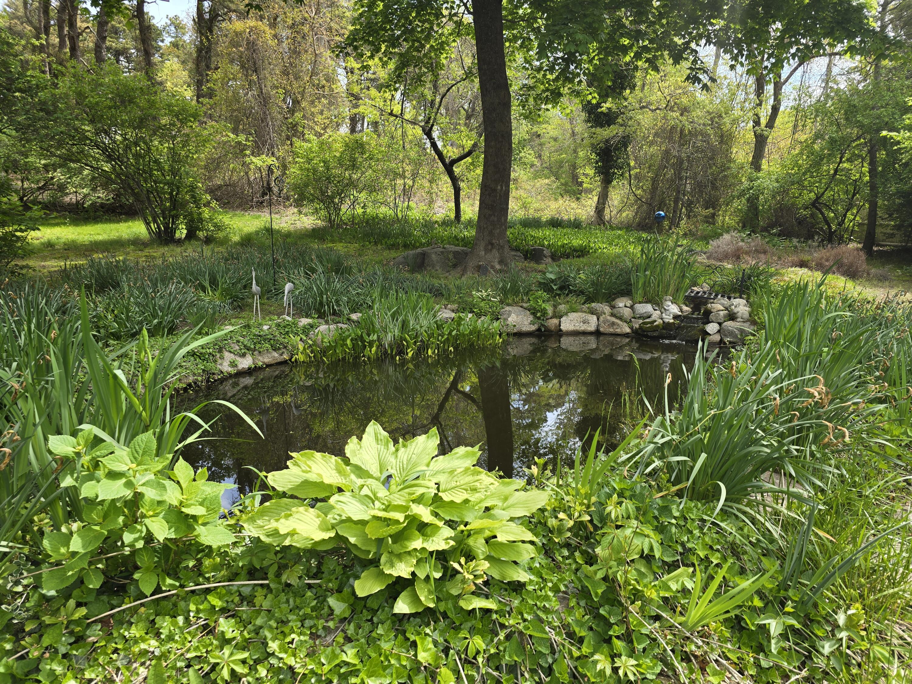 82 Paines Creek Road Brewster MA 02631