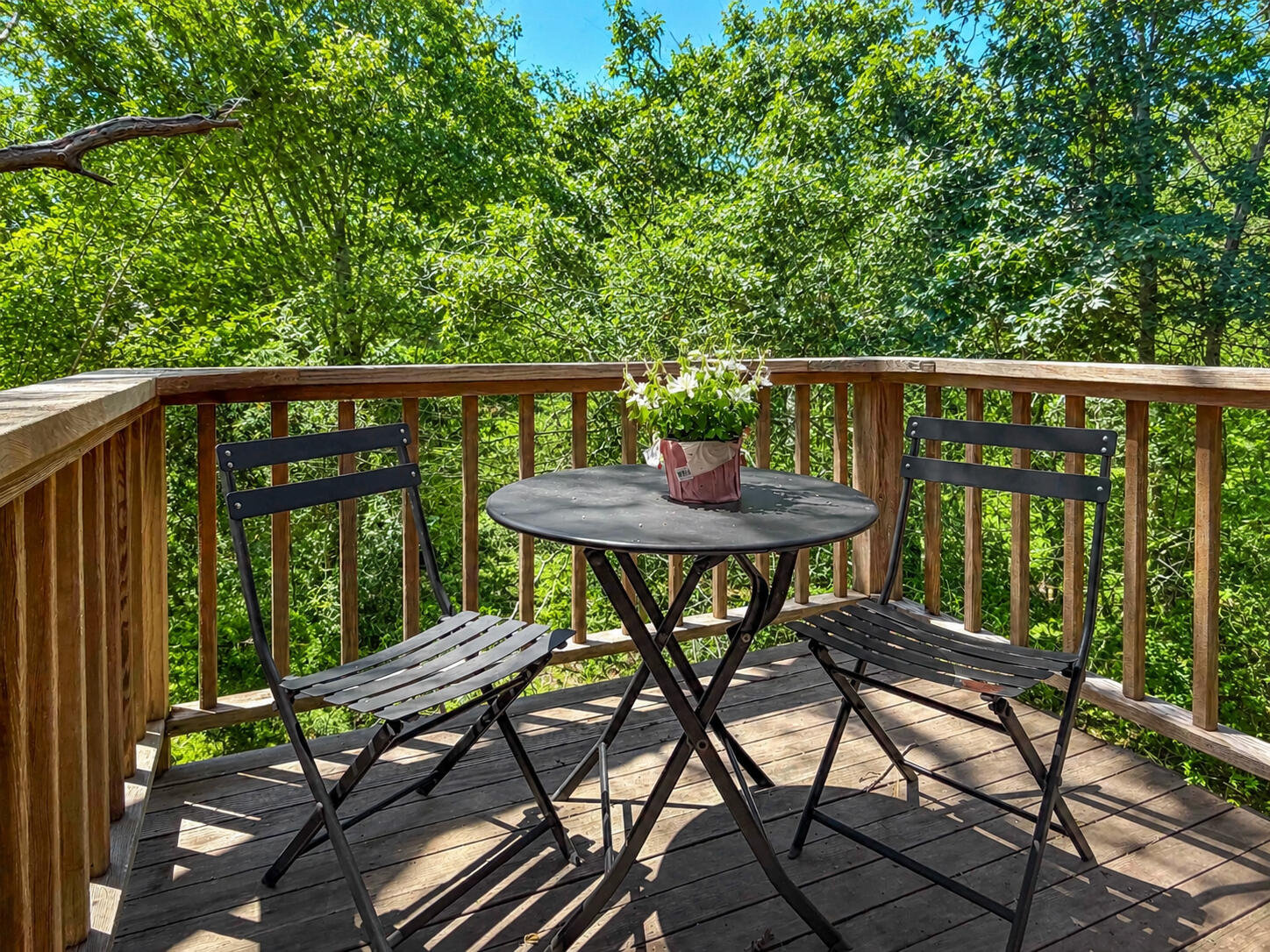 31 Josiah Sachem Way West Tisbury MA 02575