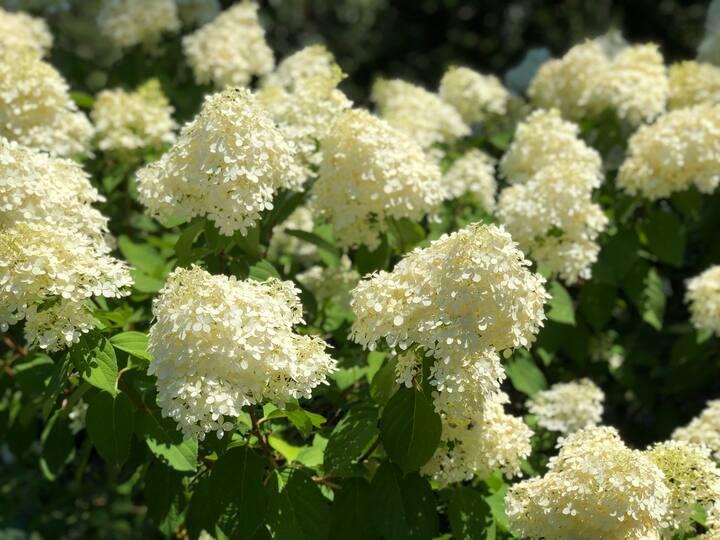 230 Old Wharf Dennis MA 02639