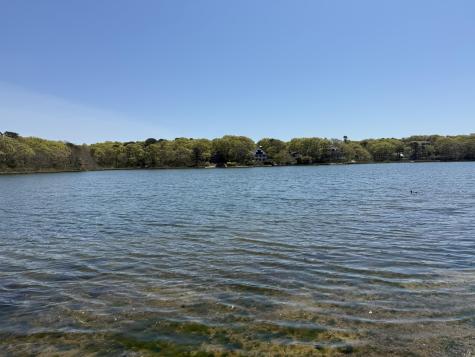 45 Terry Lou Avenue Falmouth MA 02536