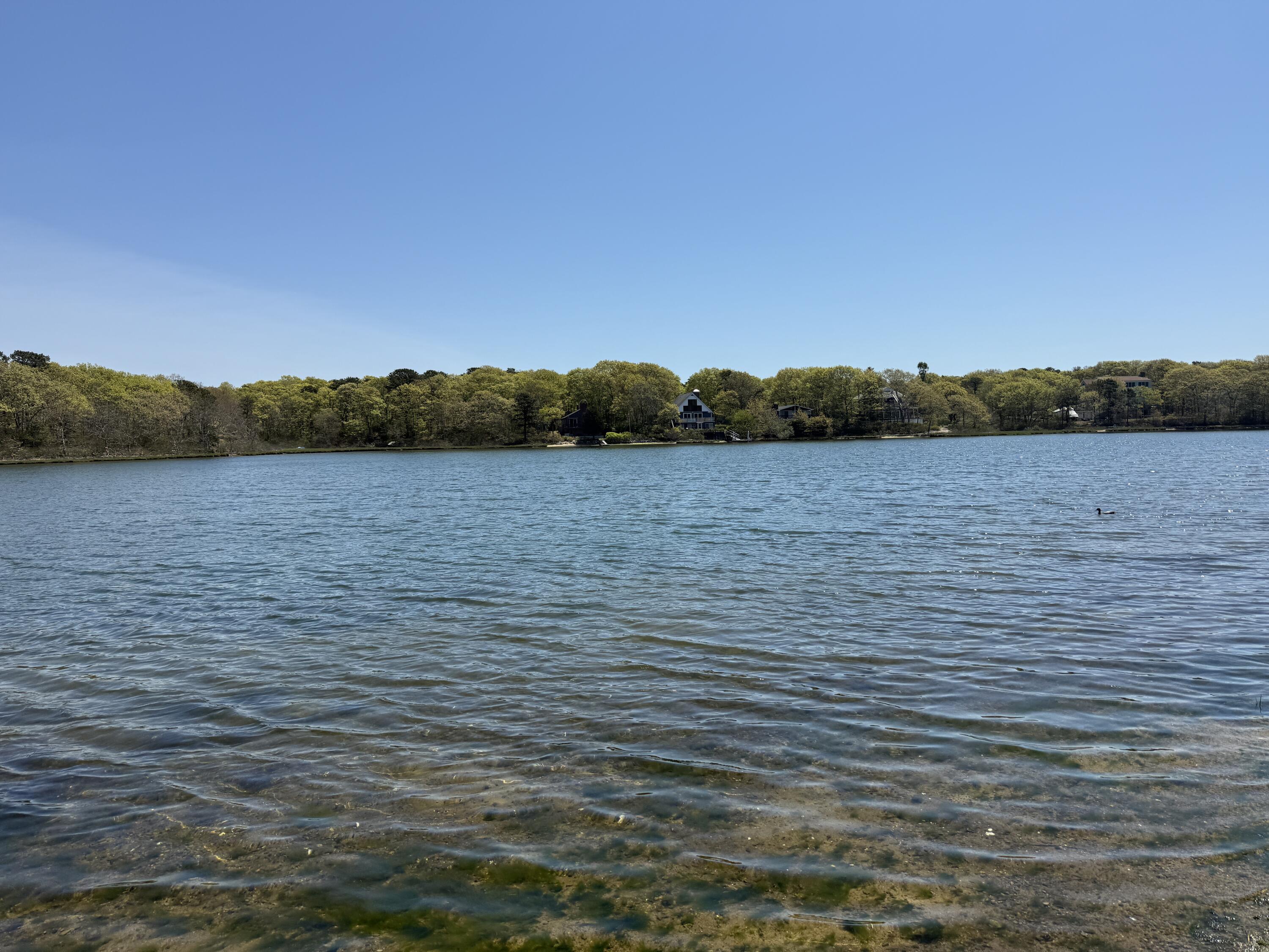 45 Terry Lou Avenue Falmouth MA 02536