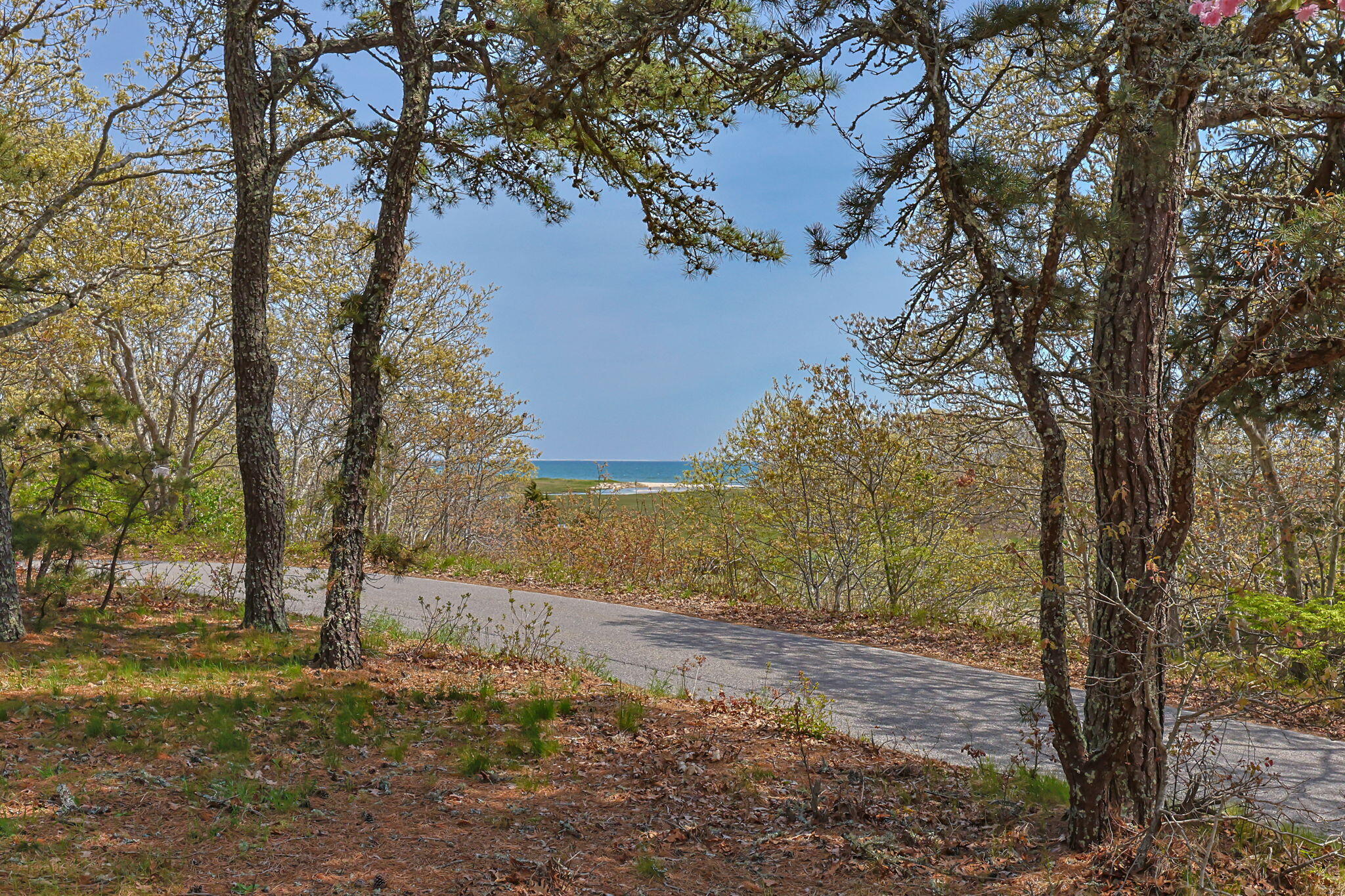 2 Brettwood Road Harwich MA 02645