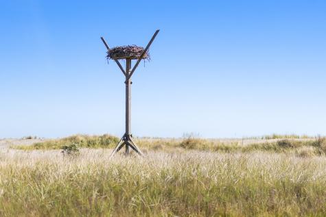 30 Tisquantum Road Chatham MA 02633