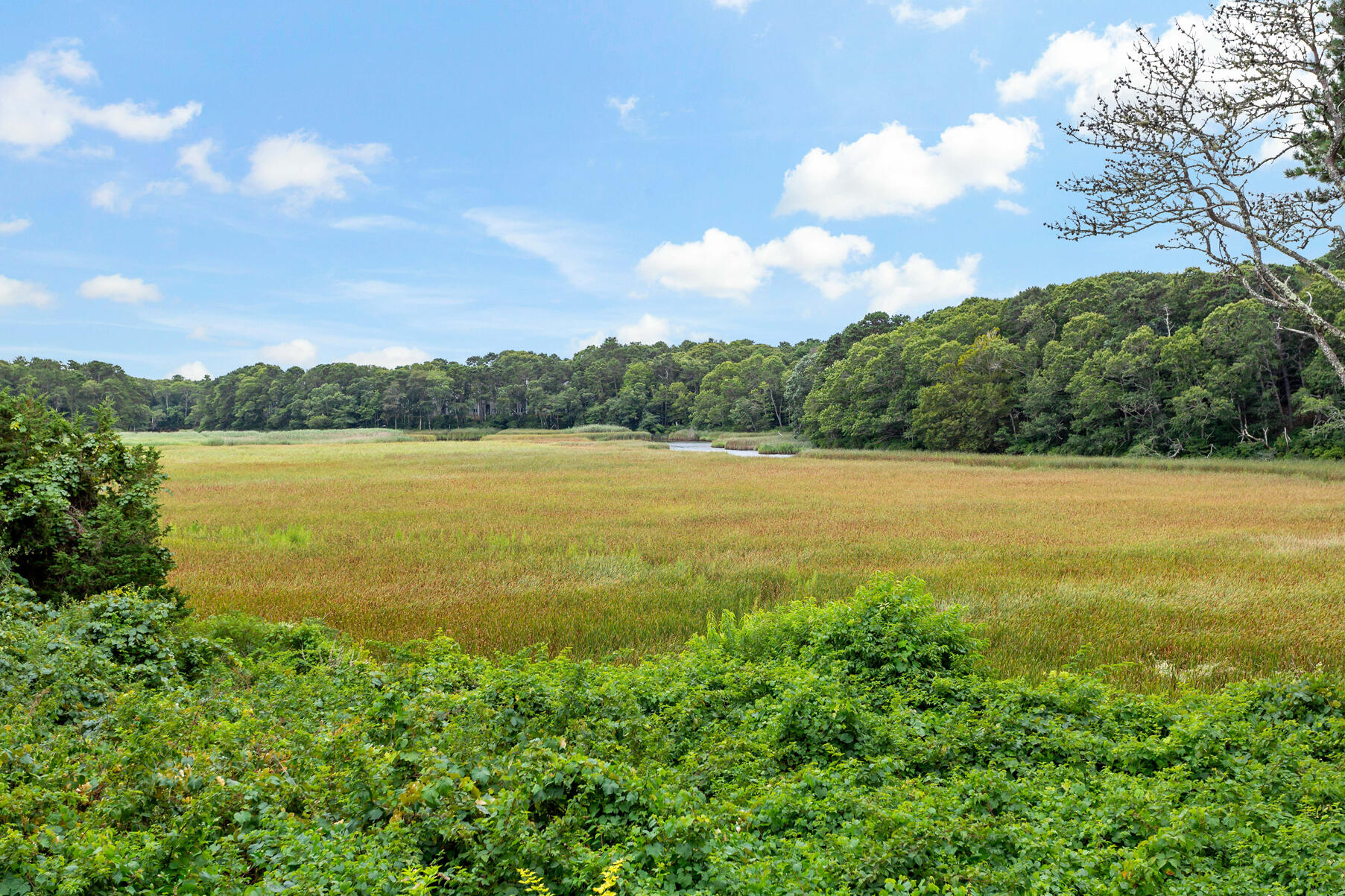 107 Abbey Gate Cotuit MA 02635