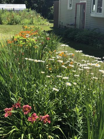 226 Osterville West Barnstable Road Osterville MA 02655