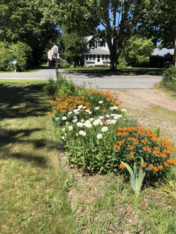 226 Osterville West Barnstable Road Osterville MA 02655