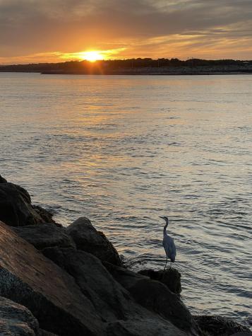 60 Sandwich Road Bourne MA 02532