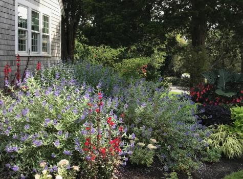 80 Briar Spring Road Orleans MA 02653