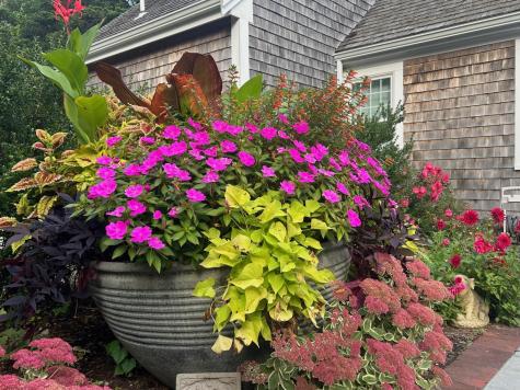 80 Briar Spring Road Orleans MA 02653