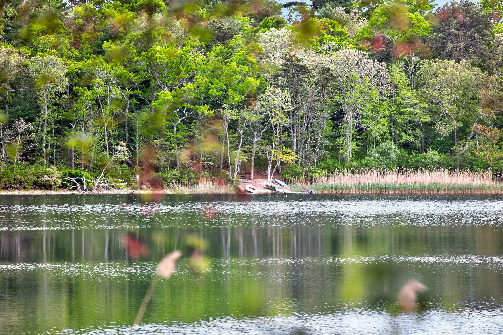 73 Pimlico Pond Road Forestdale MA 02644
