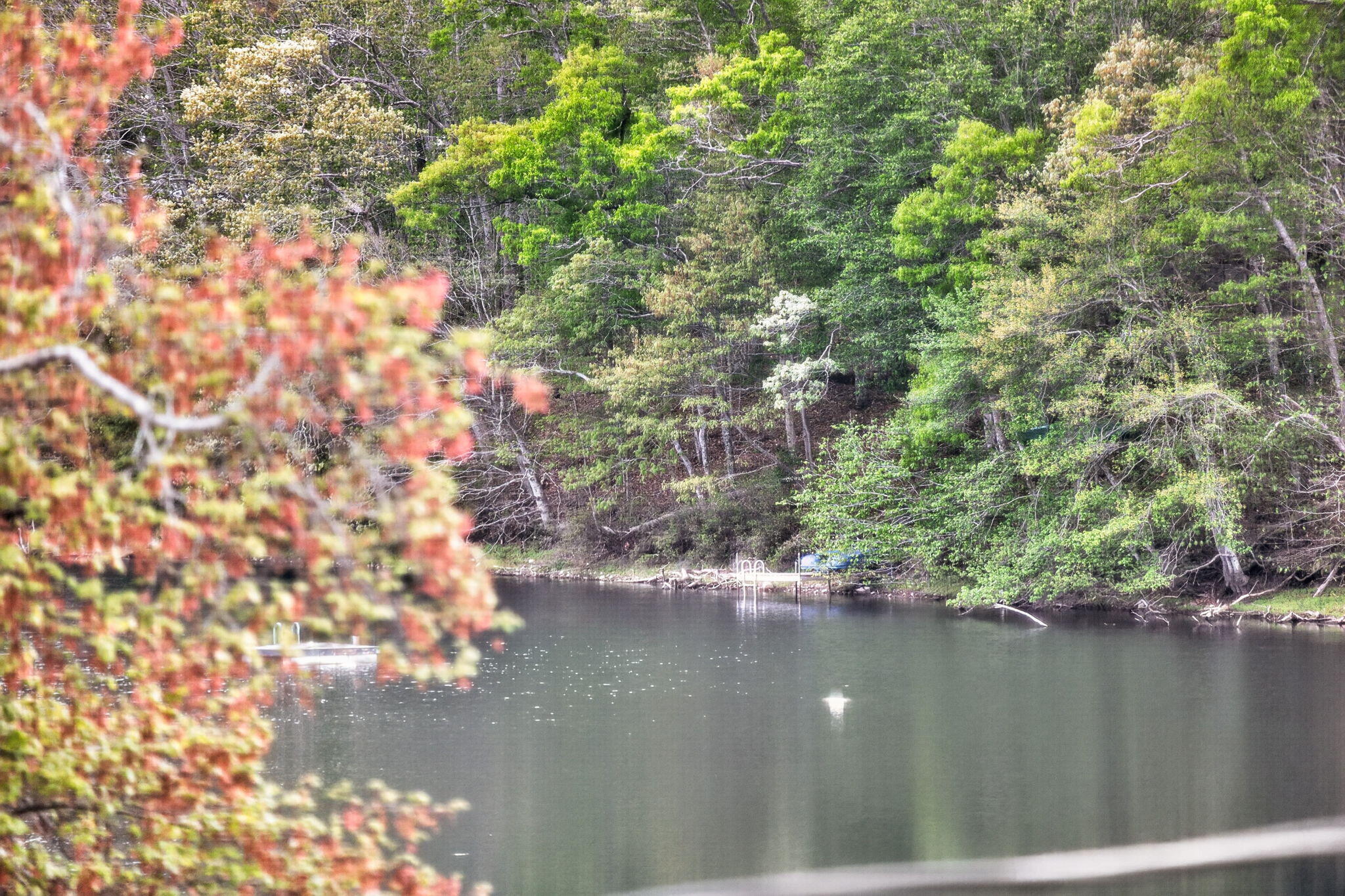 73 Pimlico Pond Road Forestdale MA 02644