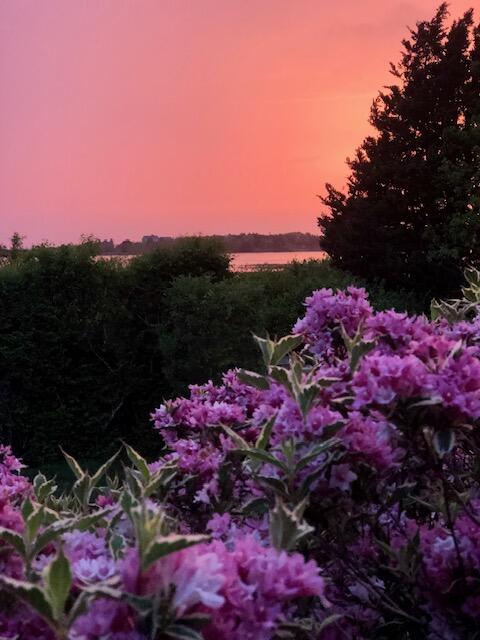 360 W Falmouth Highway Falmouth MA 02540