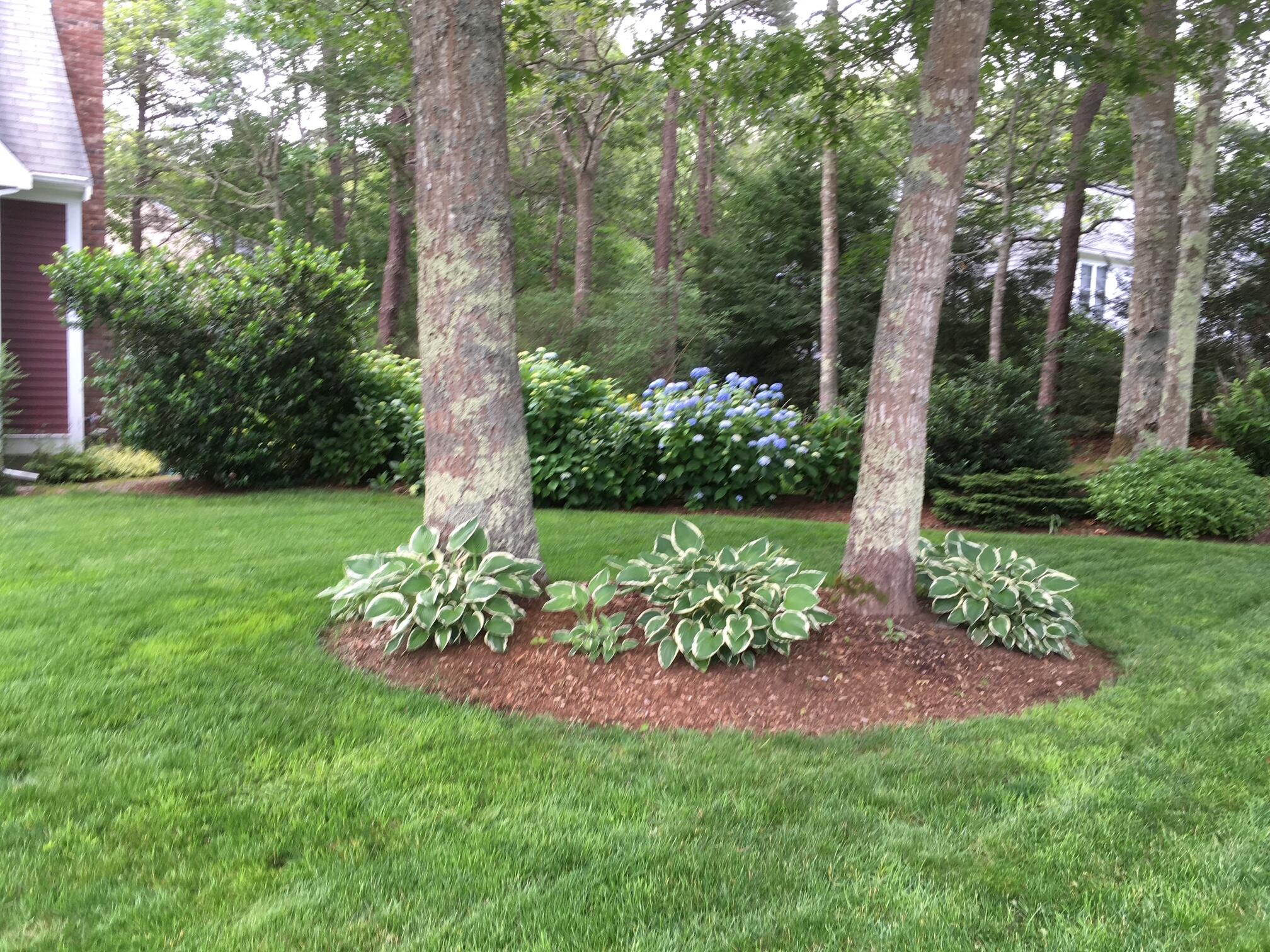 46 Snead Drive Mashpee MA 02649