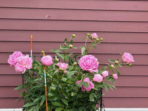 46 Snead Drive Mashpee MA 02649