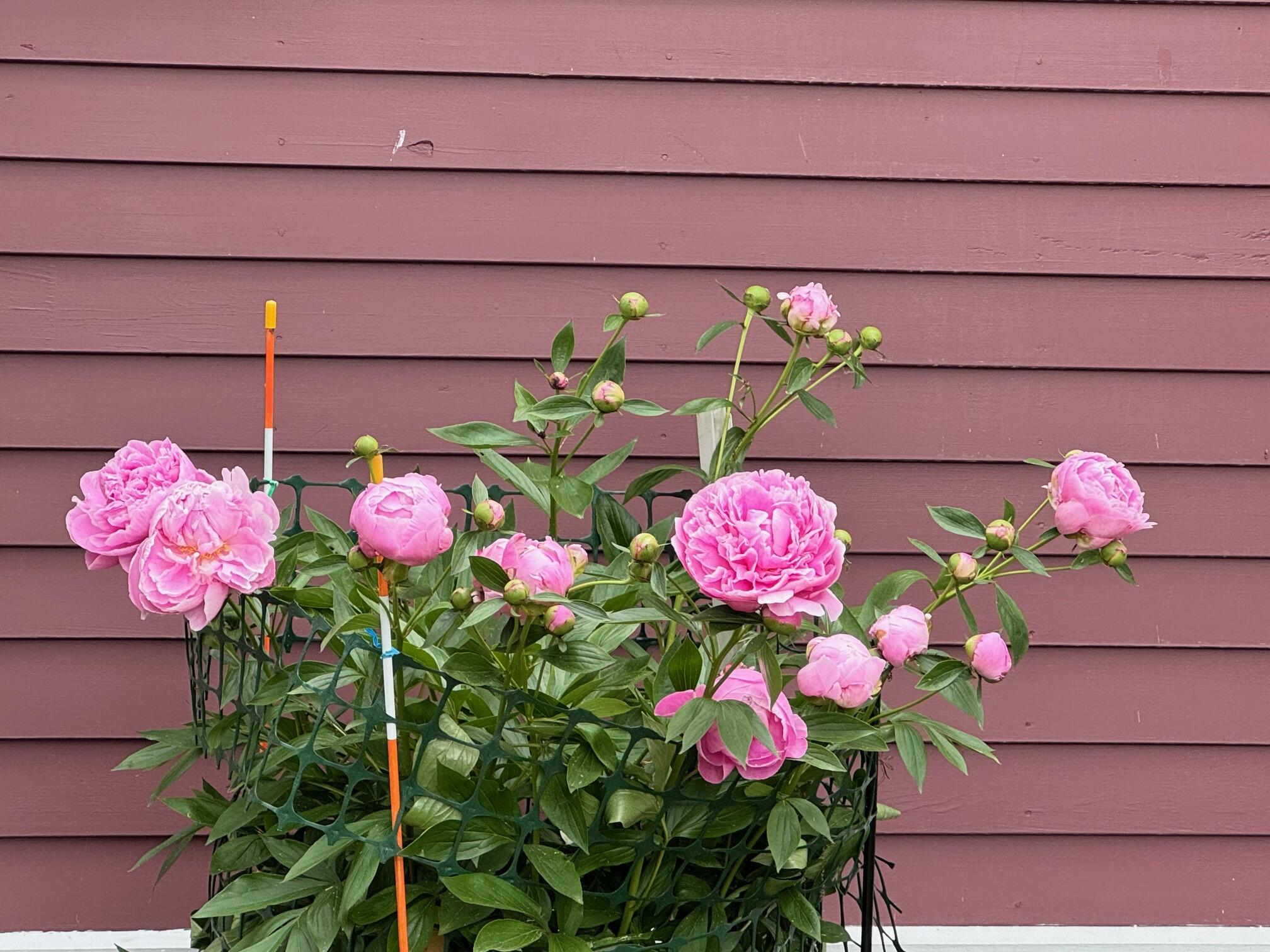 46 Snead Drive Mashpee MA 02649