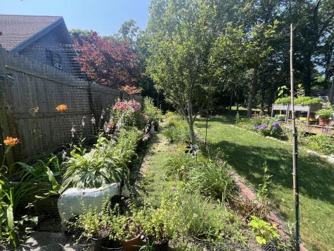 323 County Road Oak Bluffs MA 02557
