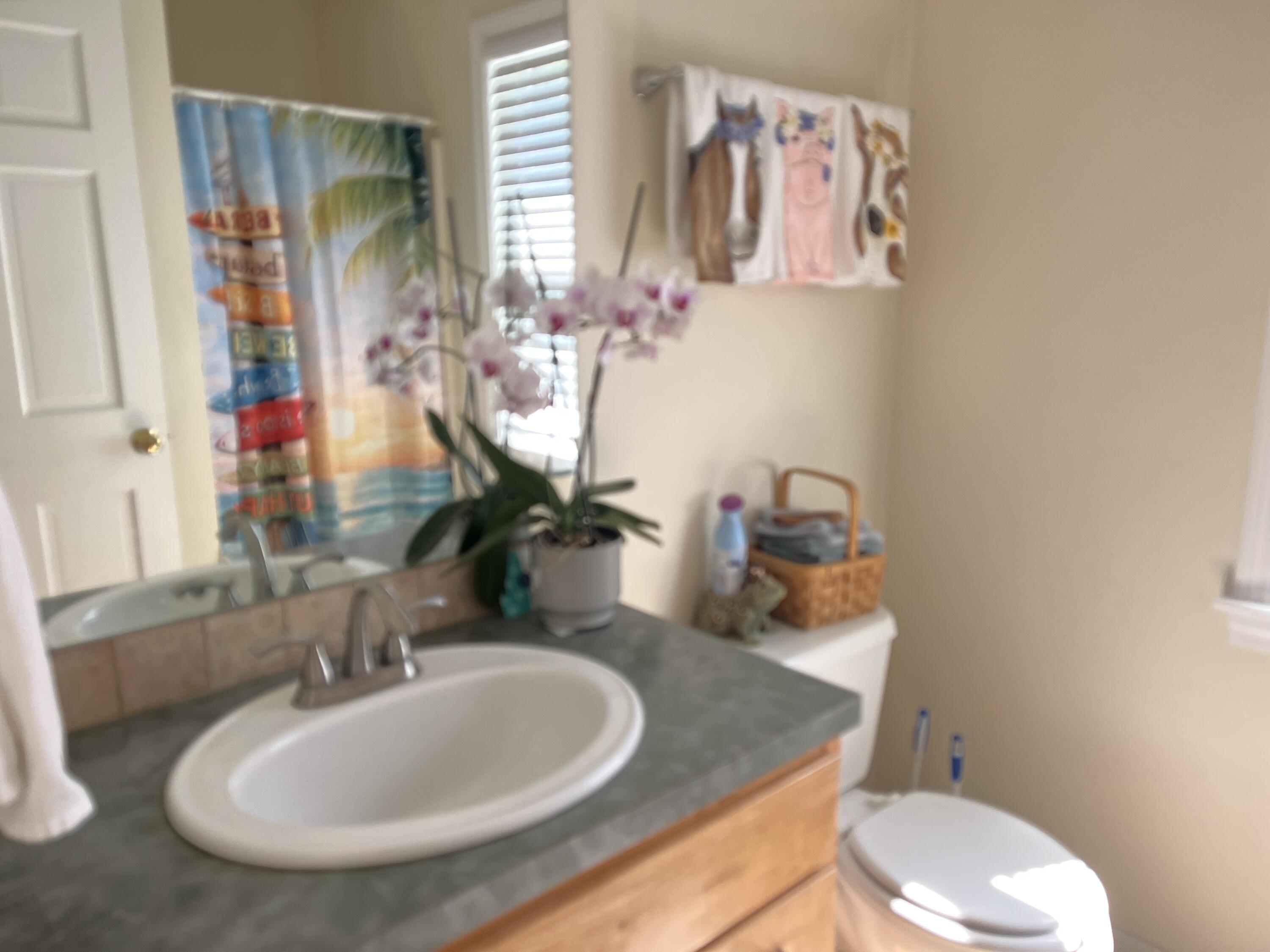 323 County Road Oak Bluffs MA 02557