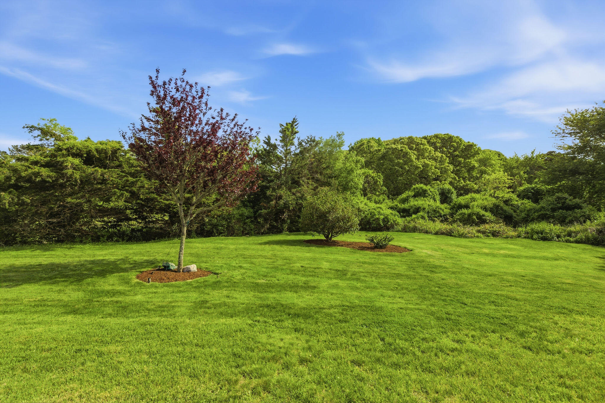 31 Fox Ridge Drive Orleans MA 02653