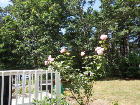 46 Service Road Sandwich MA 02537