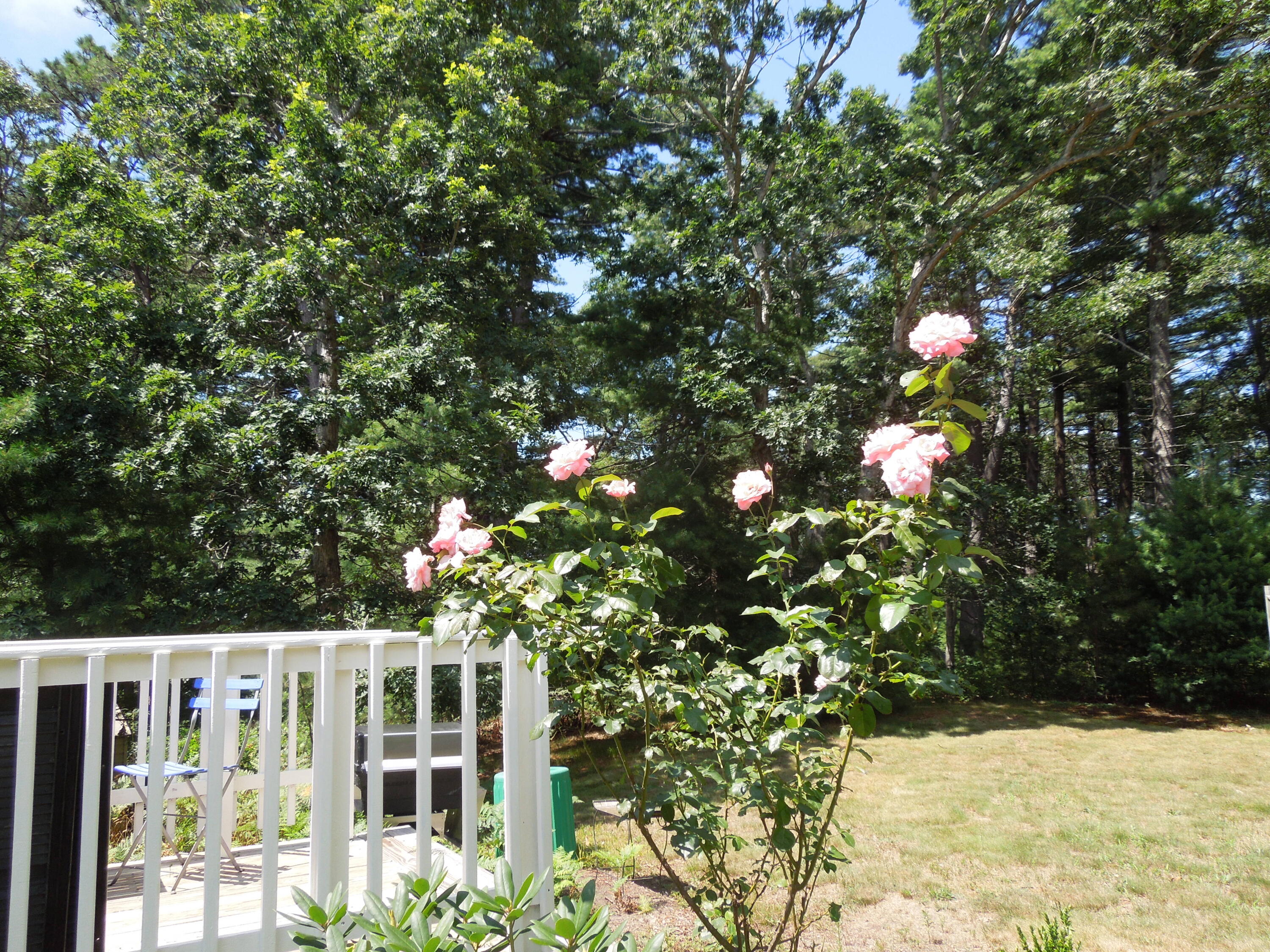 46 Service Road Sandwich MA 02537