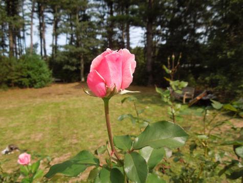 46 Service Road Sandwich MA 02537