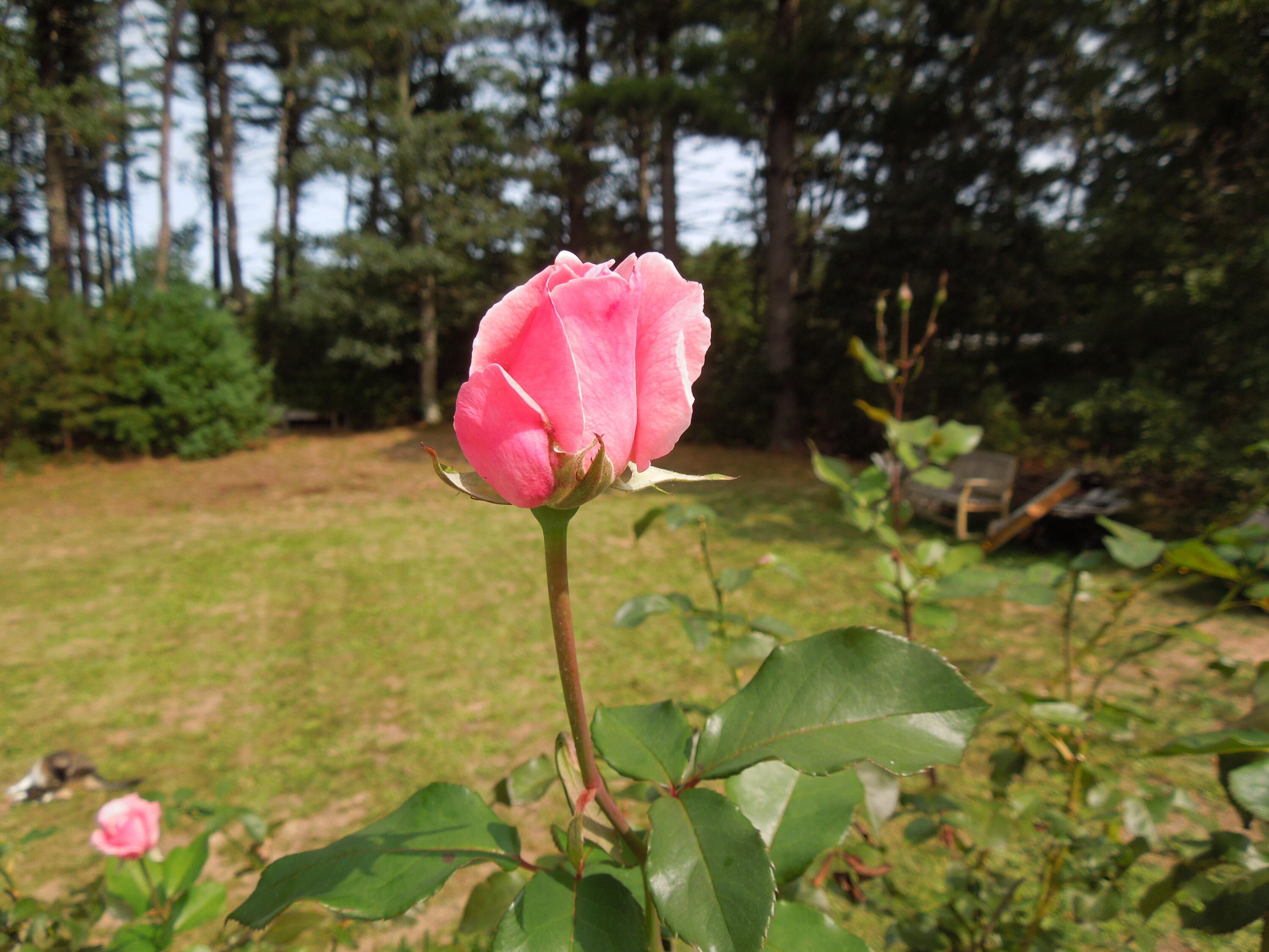 46 Service Road Sandwich MA 02537