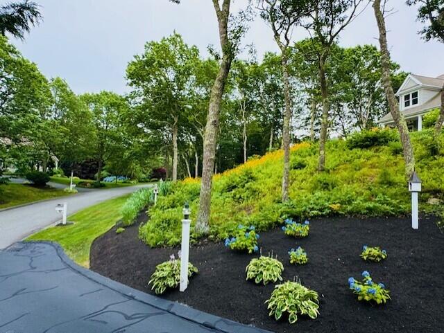 38 Equestrian Lane Falmouth MA 02536