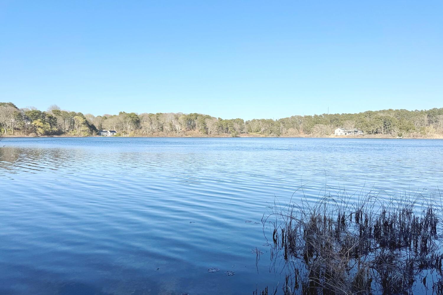61 Oak Hill Road Chatham MA 02633