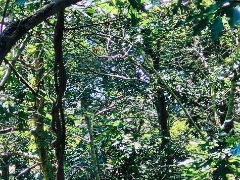 277 Lund Farm Way Brewster MA 02631