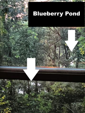 277 Lund Farm Way Brewster MA 02631